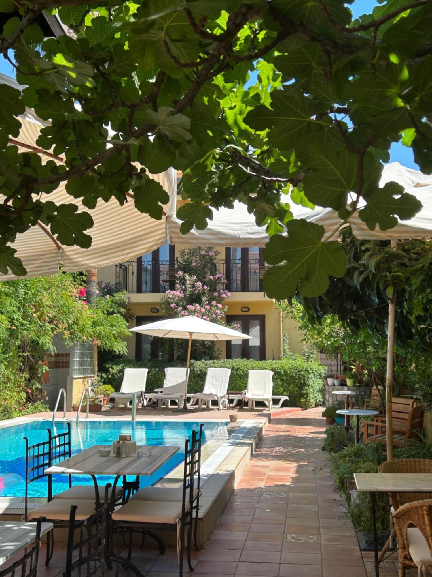 Villa Danlin Hotel Гьоджек Екстер'єр фото